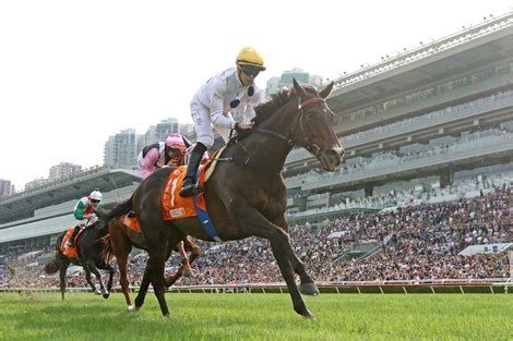 好如意馬|Hong Kong Horse Database